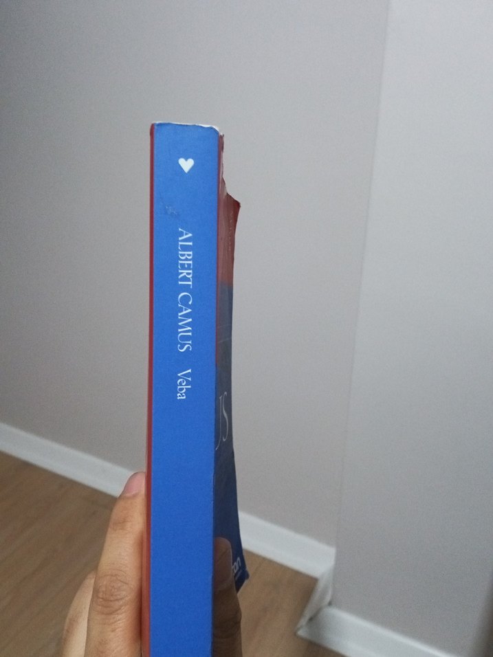 Albert Camus'tan Veba Romanı - Görsel 2