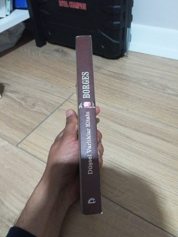 Borges - Düşsel Varlıklar Kitabı - Görsel 3