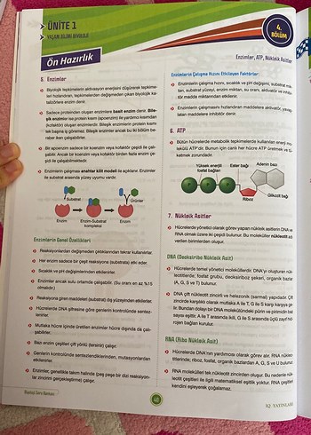 TYT Başlıyorum Serisi Biyoloji Soru Bankası - Görsel 5