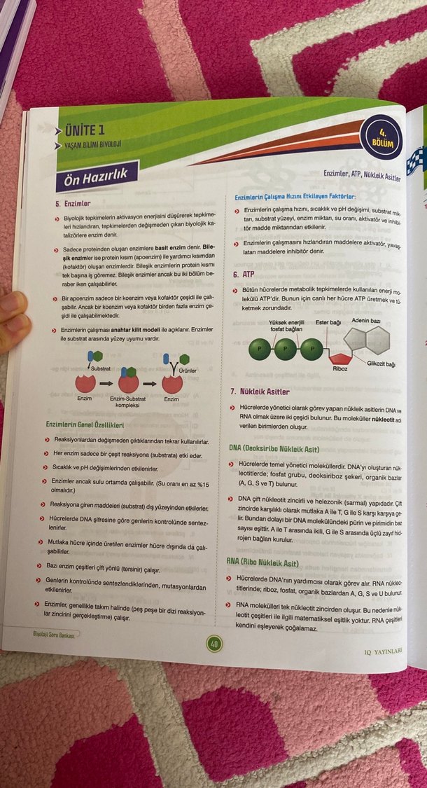 TYT Başlıyorum Serisi Biyoloji Soru Bankası - Görsel 5