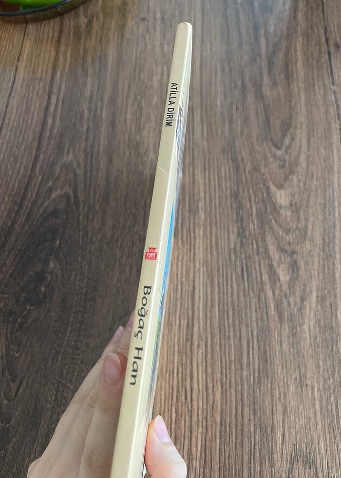 Atilla Dirim ?Kazılık Dağı?nın Aslanı Boğaç Han? - Görsel 3