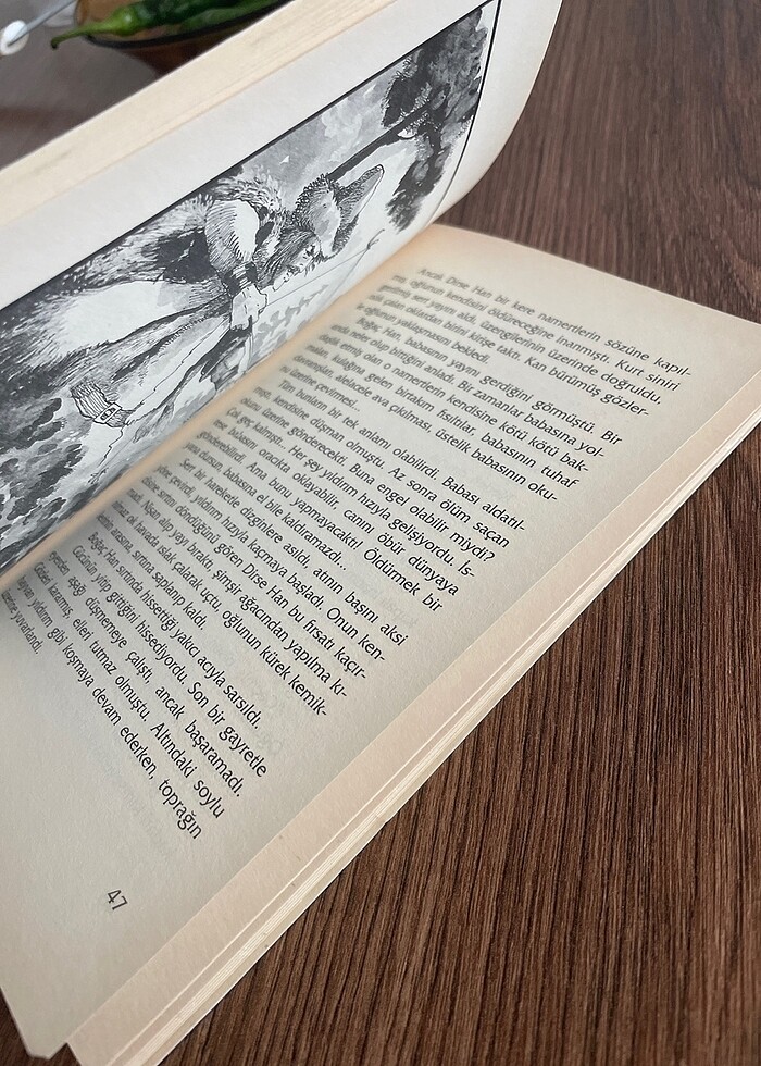 Atilla Dirim ?Kazılık Dağı?nın Aslanı Boğaç Han? - Görsel 4