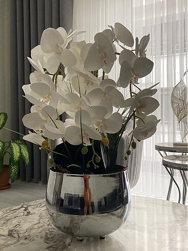 Diğer Gümüş saksılı yapay orkide