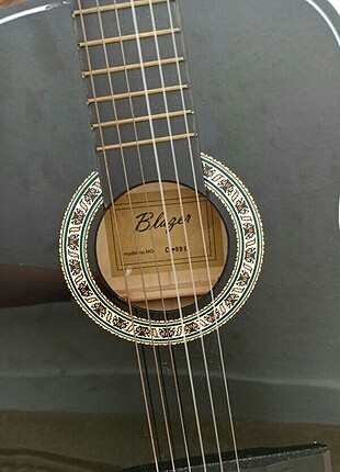 Diğer Gitar