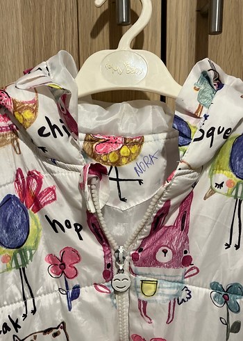 Çok Renkli Yelek - Görsel 3