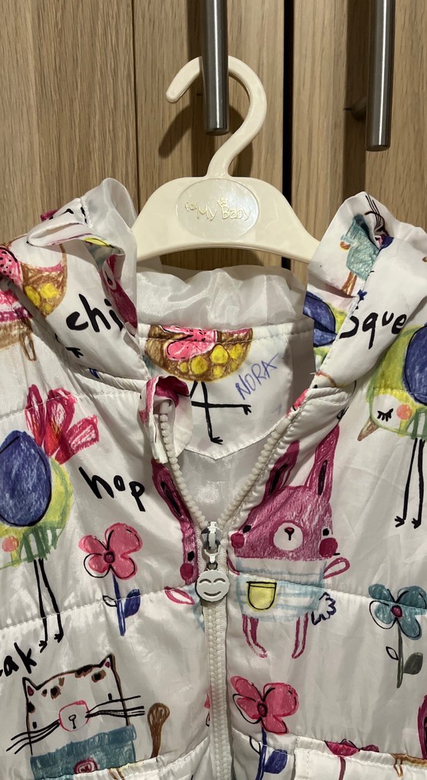 Çok Renkli Yelek - Görsel 3