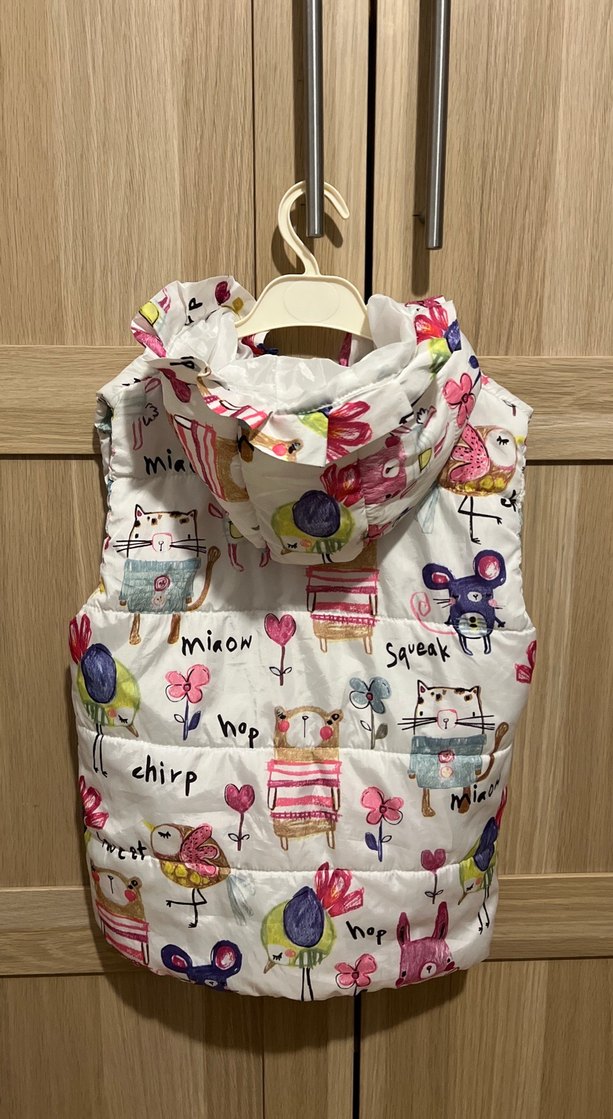 Çok Renkli Yelek - Görsel 2