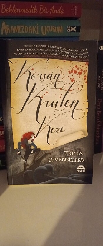 Korsan kralın kizi