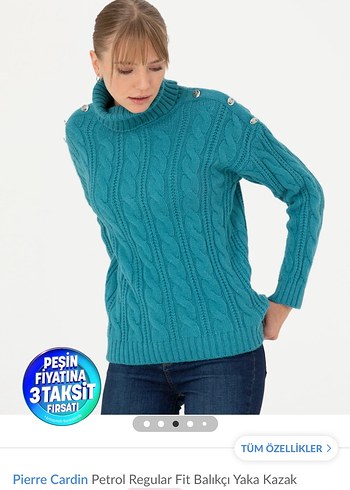 Pierre Cardin  Balıkçı Yaka Kazak - Görsel 3