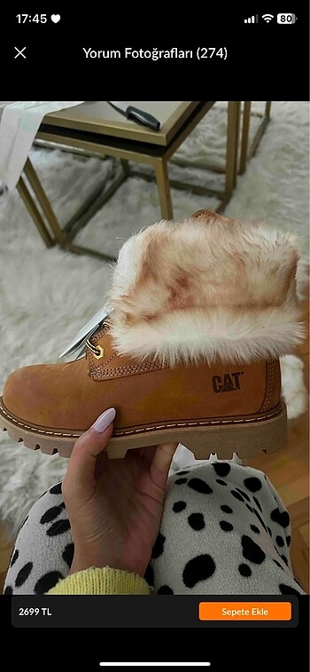 Cat bot