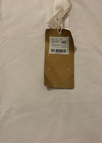 Gri Yaka Detaylı Beyaz Erkek Polo Tişört - Görsel 3