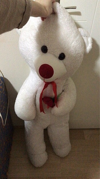 Peluş ayı