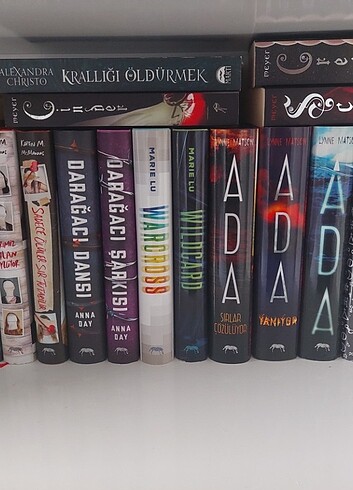 ay günlüğü serisi, ada ilk kitap, tuzak ve isyan