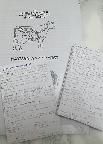  Uludağ üniversitesi biyoloji bölümü ders notları
