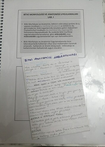 Beden Renk Uludağ üniversitesi biyoloji bölümü ders notları