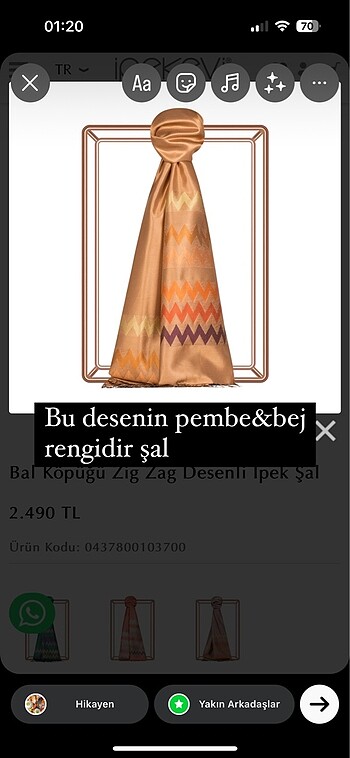 İpekevi şal - Görsel 3