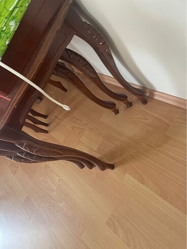 Diğer zigon ama bacakları kırık