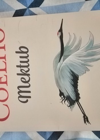 Bab-ül Aşk - Şiir KitabıKitabı laro ve mektub uc kitap birarada - Görsel 5