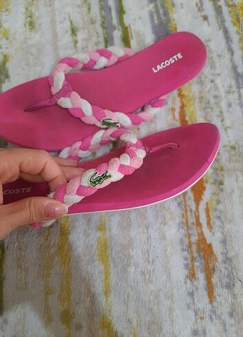 lacoste plaj terligi
