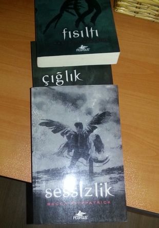 Hush hush serisi