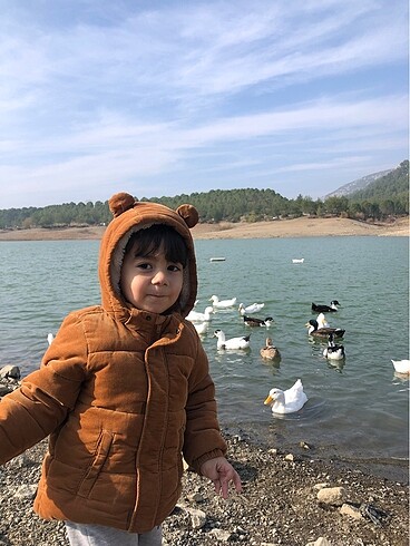 Bebek mont