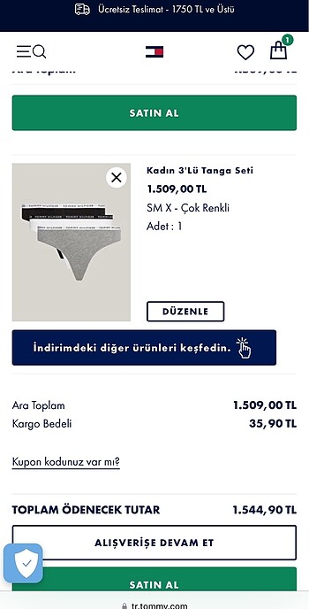 Tommy Hilfiger külot