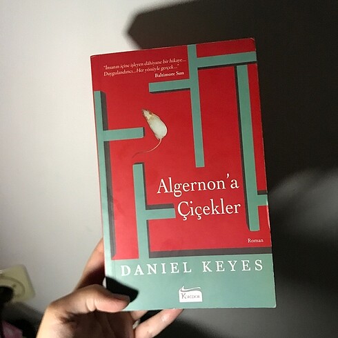 Algernon?a Çiçekler Daniel Keyes