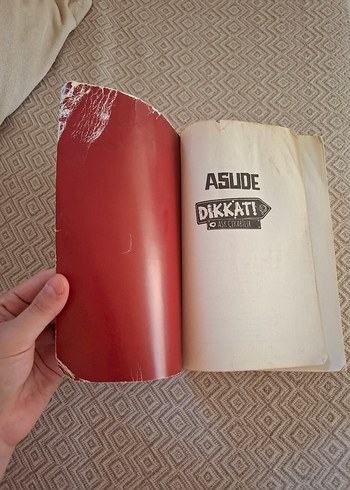 Beden Dikkat! Aşk Çıkabilir - Asude