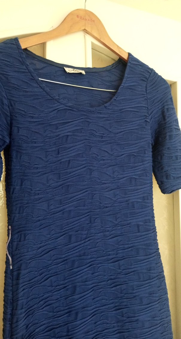 Mavi Pilili  Kadın Elbise - Görsel 4