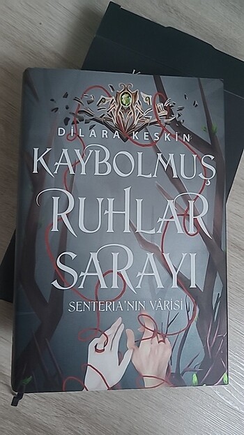 Kaybolmuş Ruhlar Sarayı ll 