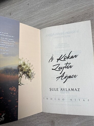 Beden Renk İs Kokan Zeytin Ağacı