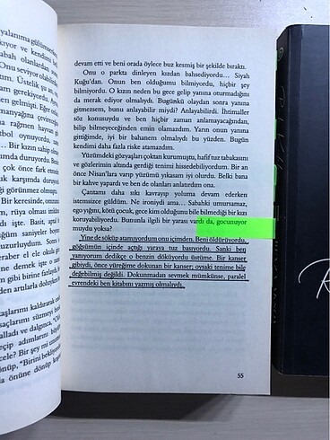 Beden Renk Siyah Kuğu Serisi - Beyza Aksoy