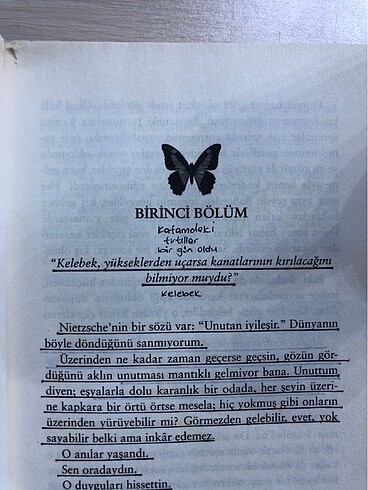  Beden Renk Kelebeği Öldürmek
