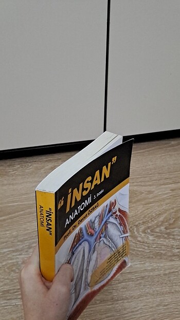 Beden İnsan Anatomisi Prof.Dr.Davut Özbağ