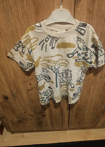 Zara Erkek Çocuk Kısa Kollu Baskılı Tişört
