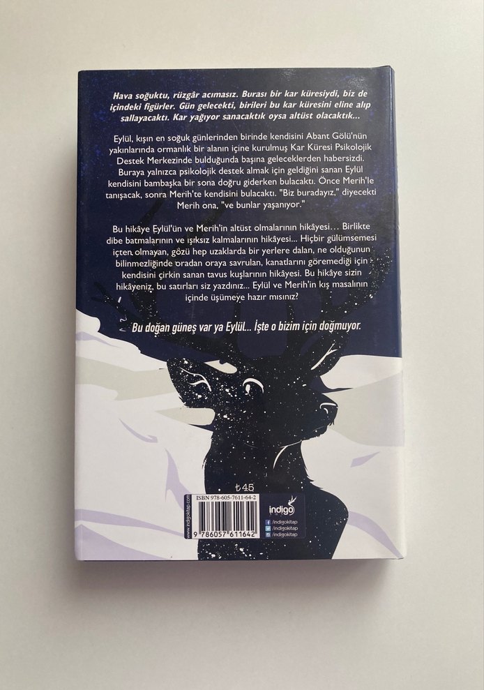 Kar Küresi - Beyza Alkoç - Görsel 2