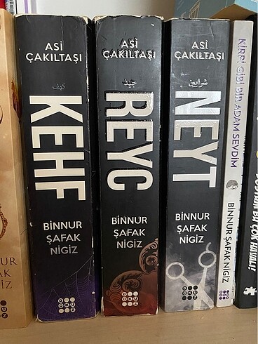asi çakıltaşı serisi binnur nigiz