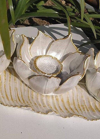 Lotus mumluk