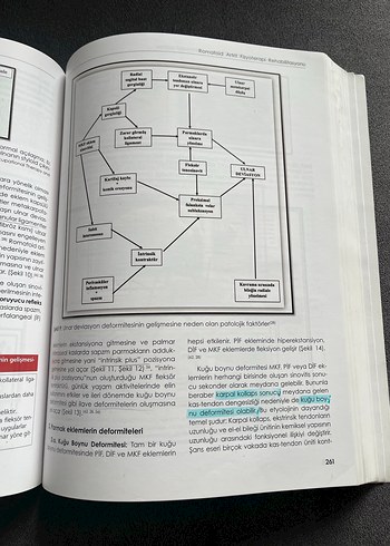 Romatolojik Hastalıklarda Fizyoterapi ve Rehabilitasyon Kitabı - Görsel 4