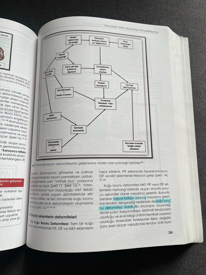 Romatolojik Hastalıklarda Fizyoterapi ve Rehabilitasyon Kitabı - Görsel 4