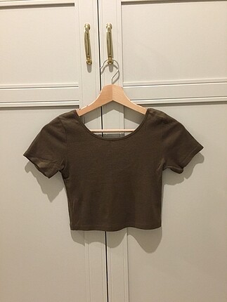 Crop body