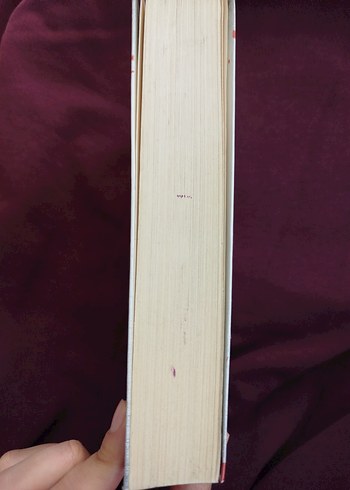 Andreas Gruber 48 Saat Psikolojik Gerilim Kitabı - Görsel 5