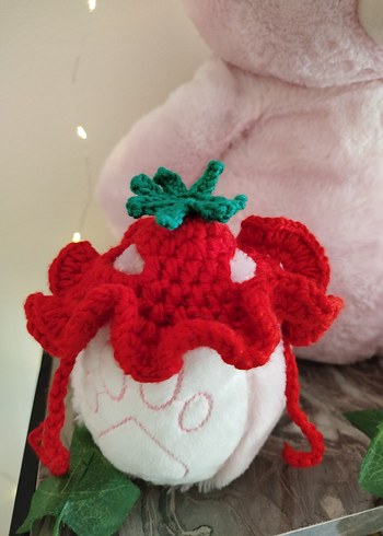 Kedi Şapkası - Görsel 2