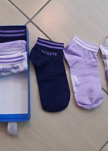 m Beden çeşitli Renk Lacoste 6'lı Çorap Set