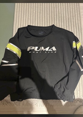 Puma diğer