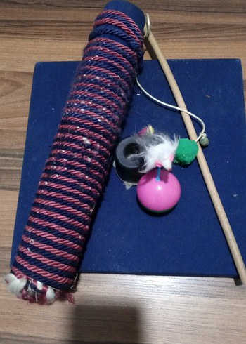 Renkli Kedi Oyun Seti - Görsel 2