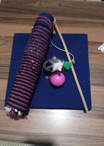 Renkli Kedi Oyun Seti