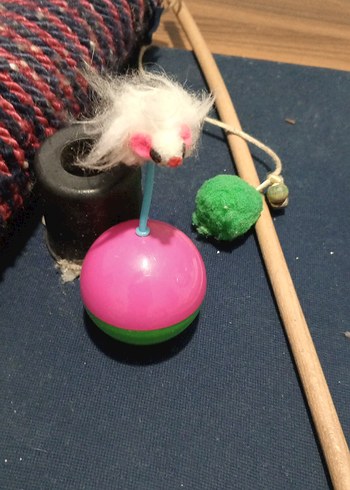 Renkli Kedi Oyun Seti - Görsel 3