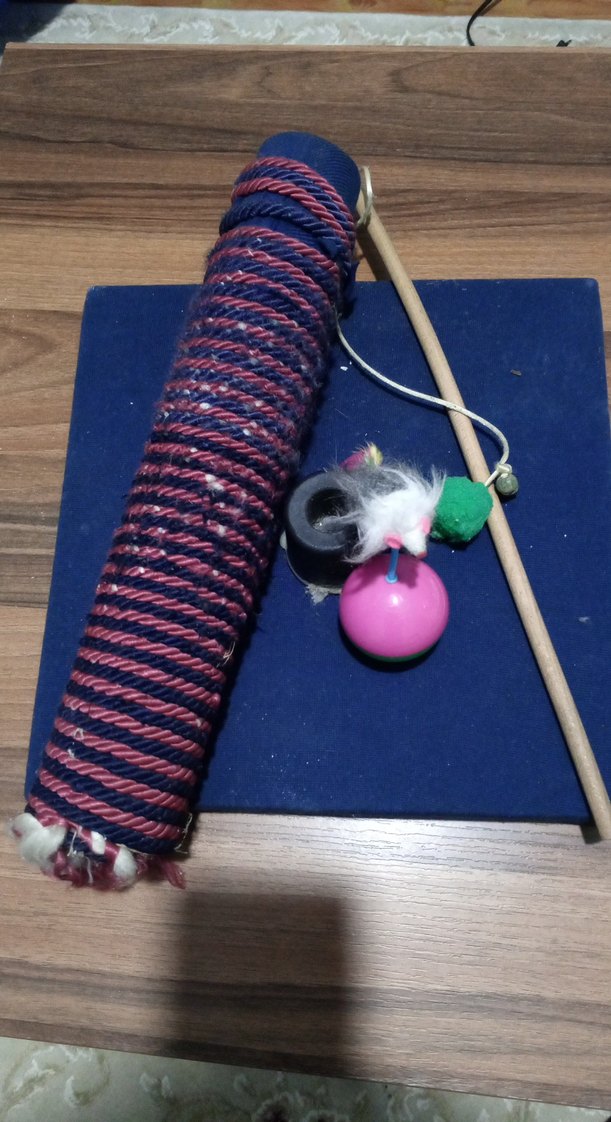 Renkli Kedi Oyun Seti - Görsel 2