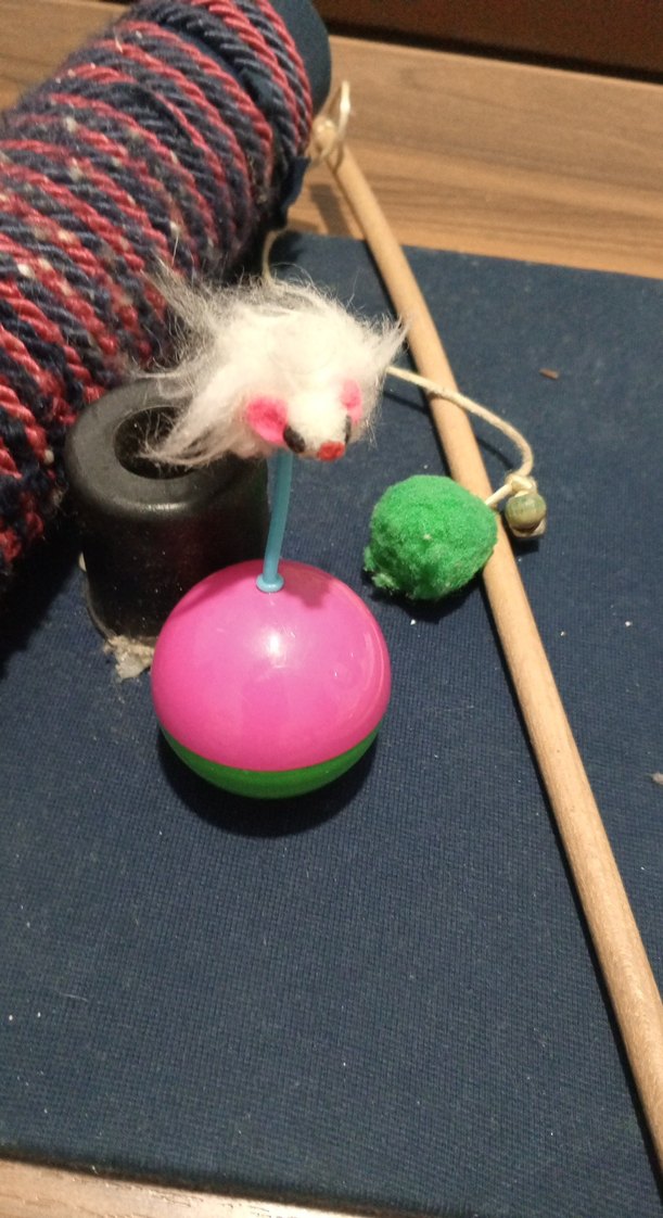 Renkli Kedi Oyun Seti - Görsel 3